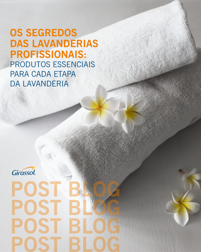blog lavanderias feed