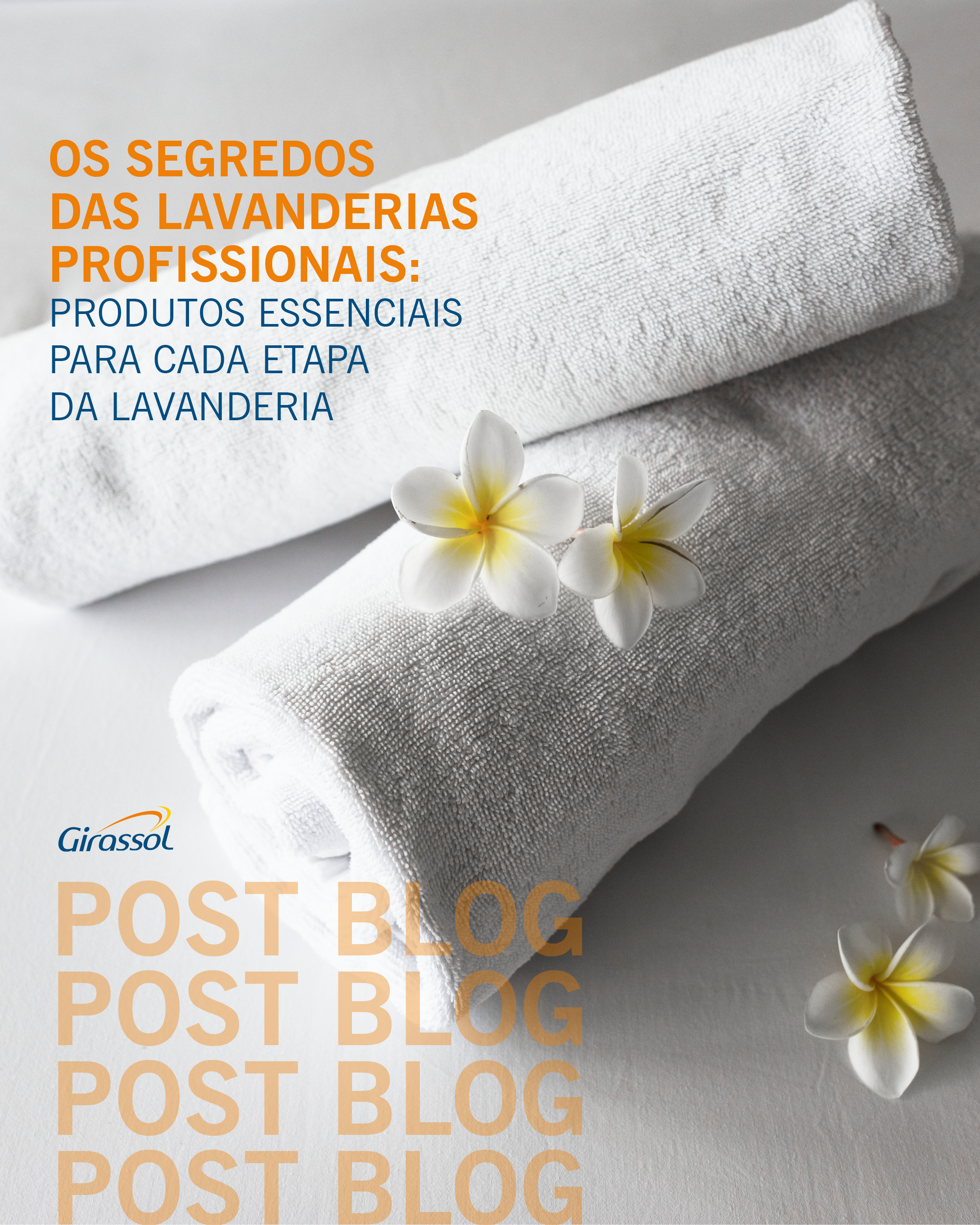 blog lavanderias feed